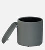 Serica Storage Velvet Pouffe In Grey Colour