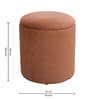 Serica Storage Velvet Pouffe In Rust Colour
