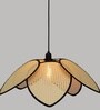 Sersez Lamp Unique Handmade Woven Hanging Pendant Light, Natural/Cane Pendant Light