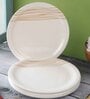 Servewell Gold Strands 6 Pc Melamine Dinner Plate
