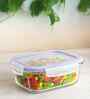 Set of 1 Borosilicate 1300ml Lunch Box