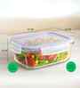 Set of 1 Borosilicate 1300ml Lunch Box