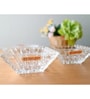 Set of 1 Bossanova Crystal Square Plate and 4 Bowls