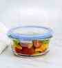 Set of 1 Crystal Lead Free Glass 370ml Lunch Box