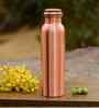 Set of 1 Ideal Copper 500ml Water Bottle