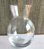 Set of 1 Transparent Crystal Lead Free Glass 220ml Glass Vases