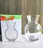 Set of 1 Transparent Crystal Lead Free Glass 220ml Glass Vases