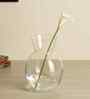 Set of 1 Transparent Crystal Lead Free Glass 220ml Glass Vases
