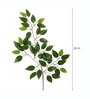 Plastic White Decorative Ficus Without Pot Set Of 12 Artificial Plants