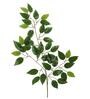 Plastic White Decorative Ficus Without Pot Set Of 12 Artificial Plants
