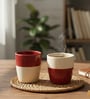 Set Of 2 Ceramic Bone China Free Kulhad Tea Pot