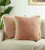 Set Of 2 Cushion Covers