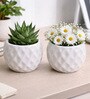 Set of 2 Diamond Texture Ceramic Planter Pot