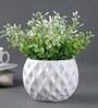 Set of 2 Diamond Texture Ceramic Planter Pot