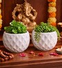 Set of 2 Diamond Texture Ceramic Planter Pot