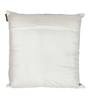 Blue Velvet Floral 24x24 inches Cushion Cover (2Pc)