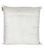 White Velvet Floral 24x24 inches Cushion Cover (2Pc)