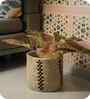 Set Of 2 Natural Sabai Grass Woven Roots  Plant Holder