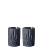 Set of 2 Noblesse Whiskey (Black)
