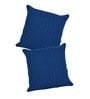 Blue Traditional Cotton 24 x 24 Inches Cushion Covers (Set of 2)