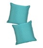 Blue Traditional Poly Cotton 24 x 24 Inches Cushion Covers (Set of 2)