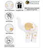 Set of 2 White and Gold-toned Elephant Showpieces