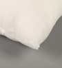 White Polyester Filled 16X16 Inches Cushion Inserts (Set Of 2)