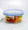 Set of 3 Borosilicate Glass 370ml Lunch Box Set