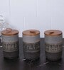 Set of 3 Daily Brew Luxe Ceramic and Wooden Jar Containers
