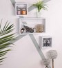 Set of 3 Engineered Wood White Colour Wall Shelf