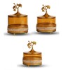 Set of 3 Glass and Matel Ginkgo Elegance Jar Containers