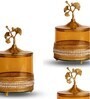 Set of 3 Glass and Matel Ginkgo Elegance Jar Containers