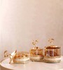 Set of 3 Glass and Matel Ginkgo Elegance Jar Containers