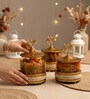 Set of 3 Glass and Matel Ginkgo Elegance Jar Containers
