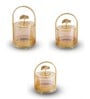 Set of 3 Glass and Matel Heritage Arch Jar Containers