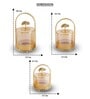 Set of 3 Glass and Matel Heritage Arch Jar Containers