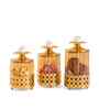 Set of 3 Glass and Matel Quick Shop Crown Luxe Jar Containers