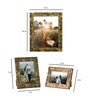 Set Of Suzie 3 Gold Wood Collage Photo Frame