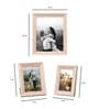 Set Of Hilton 3 Pink Wood Collage Photo Frame