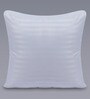 Polyester Filled Cotton 16 x16 Inches Cushion Inserts (Set of 3)
