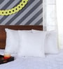 Polyester Filled Cotton 16 x16 Inches Cushion Inserts (Set of 3)