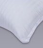 Polyester Filled Cotton 16 x16 Inches Cushion Inserts (Set of 3)