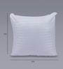 Polyester Filled Cotton 16 x16 Inches Cushion Inserts (Set of 3)