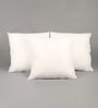 White Polyester Filled 24x24 Inches Cushion Inserts Pillow (Set Of 3)