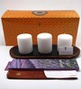 Set Of 3 White Wood & Wax Candles With Wooden Tray