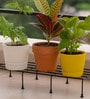 Set Of 4 Black Metal Rectangular Planter Stands
