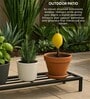 Set Of 4 Black Metal Rectangular Planter Stands