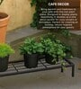Set Of 4 Black Metal Rectangular Planter Stands