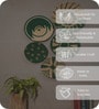 Set Of 5 Green Sabai Grass Nature'S Palette Wall Plate