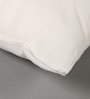 White Polyester Filled 24X24 Inches Cushion Inserts (Set Of 5)